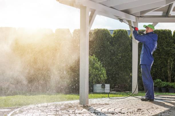 Best Dumpster Area Cleaning  in Quartz Hill, CA