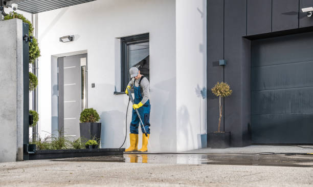 Animal Enclosure Cleaning in Quartz Hill, CA